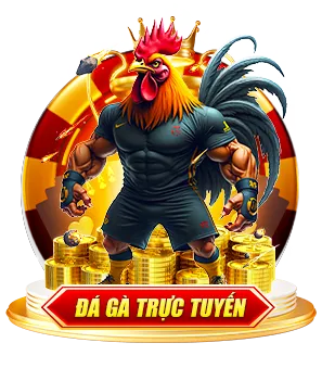 Đá gà GO88